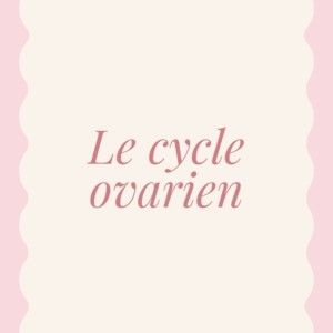 Le Cycle Ovarien