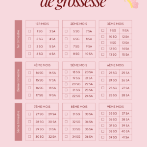 Calendrier de grossesse