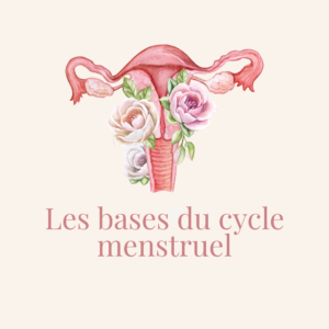 Les bases du cycle menstruel